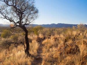 Heading across the Alice Valley.