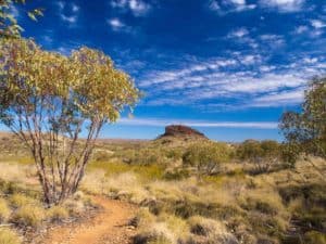 The Larapinta Trail over level country out of Ormiston.