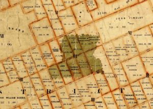 A green patch indicating the location of what was the Taieri Bush -cropped from 'Crown Grant Index Records Map. Taieri [and Waihola] Survey District. Constructed October 1859'. Archives New Zealand Item R10302830_01. (Creative Commons BY 2.0 license)