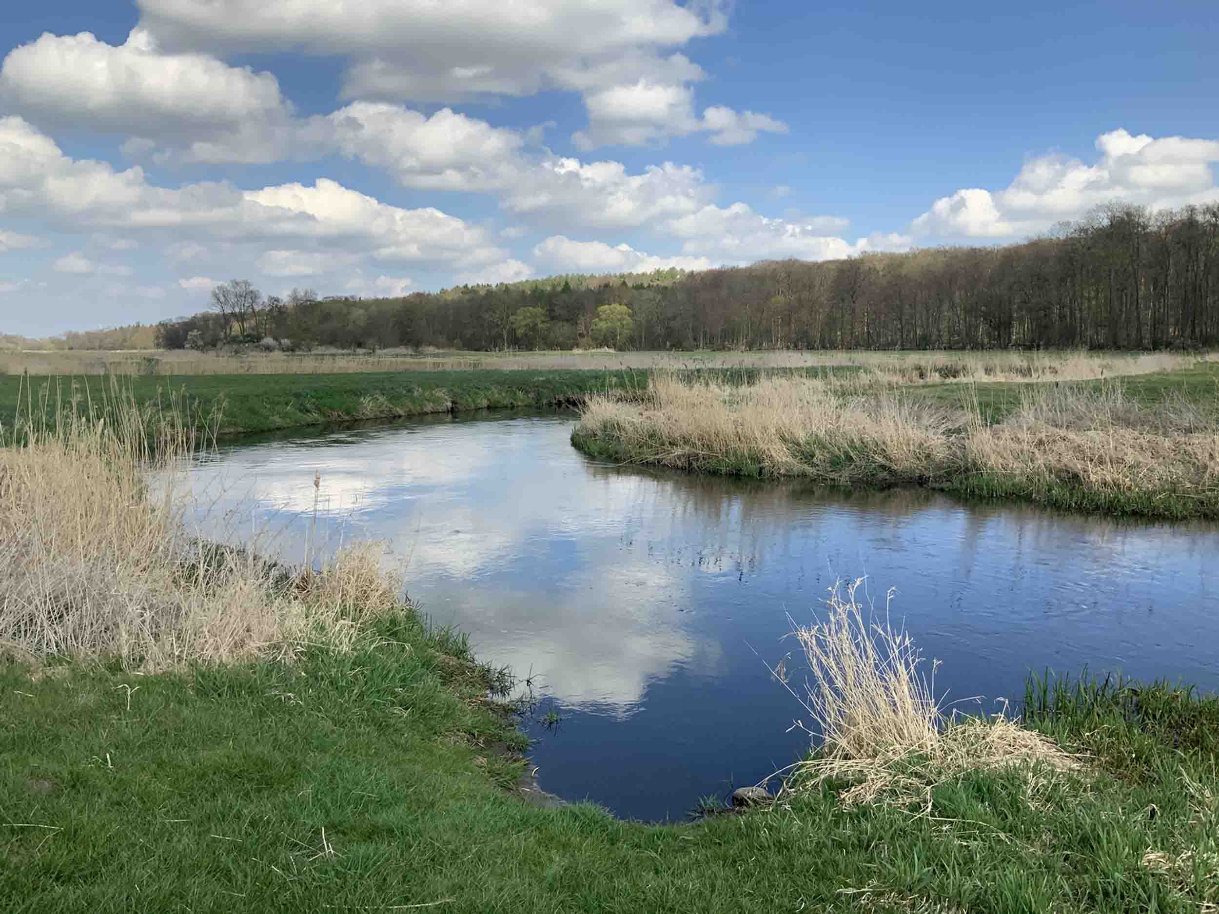 The Bronze Age battle site of Tollense. A view approximately over the 'Welztin 20' location of Lidke and Lorenz (2019). Image: the author (Mike Pole)
