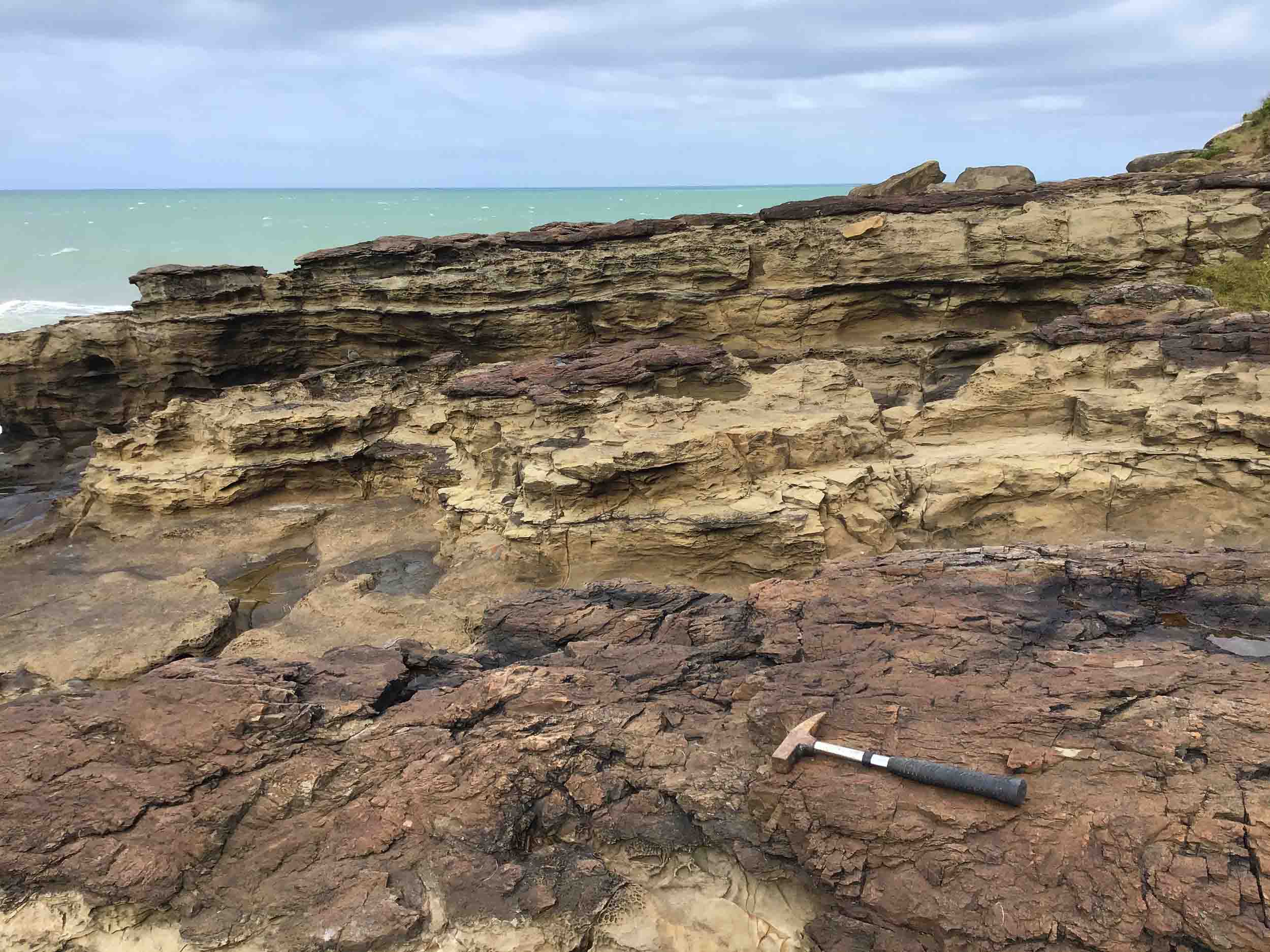 Reddish fossil soils, interpreted as 'Ferric Durisols' from the Jurassic, adjacent Curio Bay, New Zealand. Photo: the author (Mike Pole)